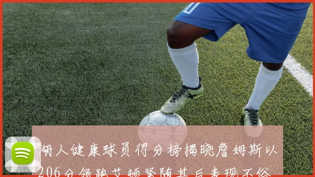 湖人健康球员得分榜揭晓詹姆斯以206分领跑艾顿紧随其后表现不俗